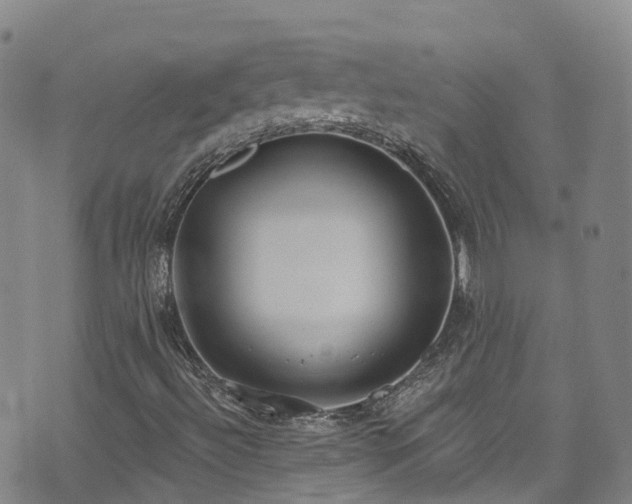 X0000074941492200609011102