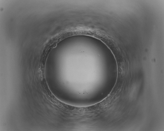 X0000074941493200609011102