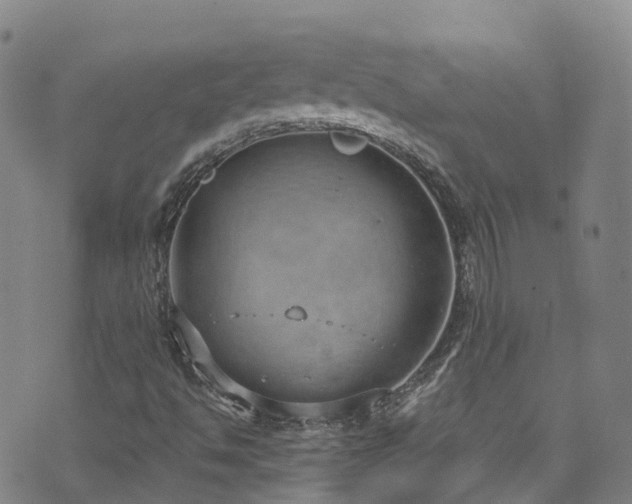 X0000074941494200609011102