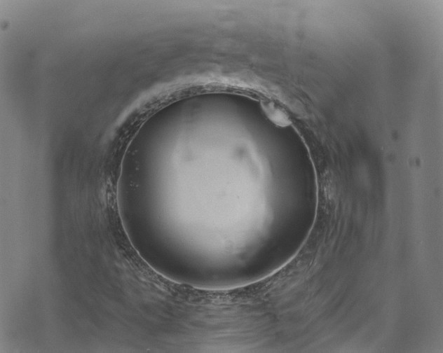 X0000074941495200609011102