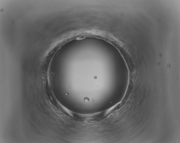 X0000074941496200609011102