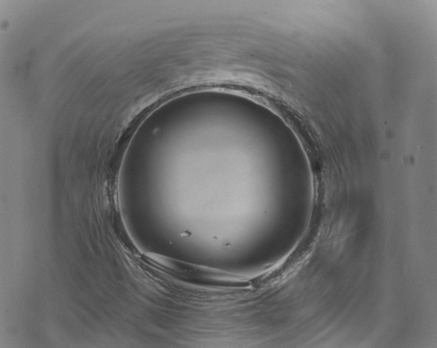 X0000074941497200609011102