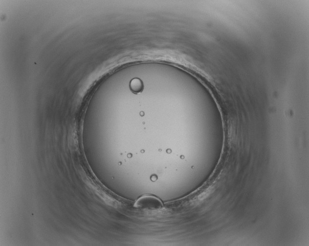 X0000074941498200609011102