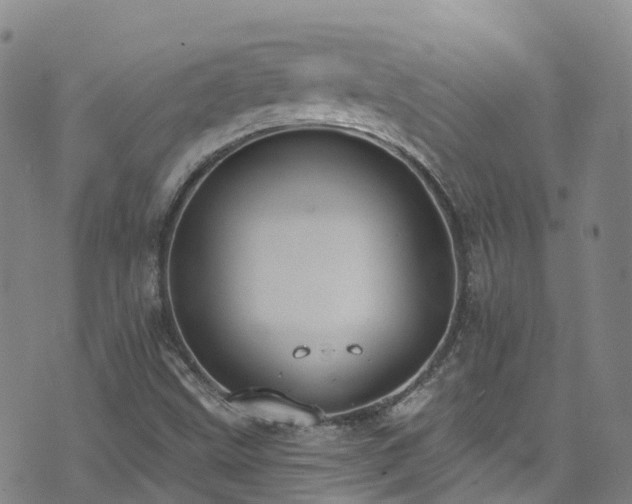 X0000074941499200609011102