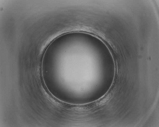 X0000074941500200609011102