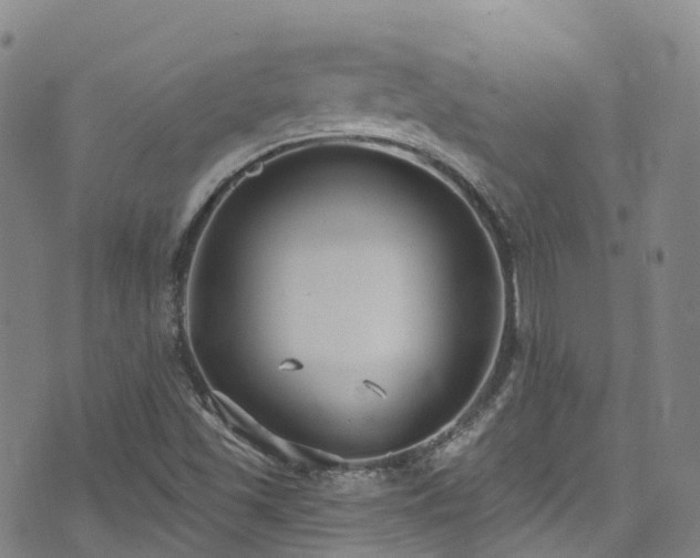 X0000074941501200609011102