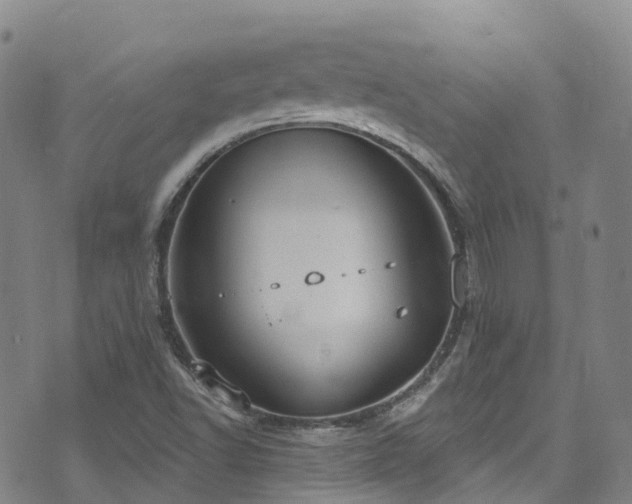 X0000074941502200609011102