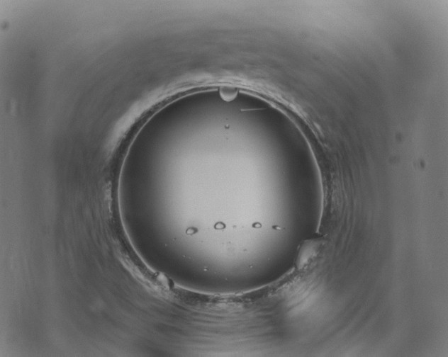 X0000074941503200609011102