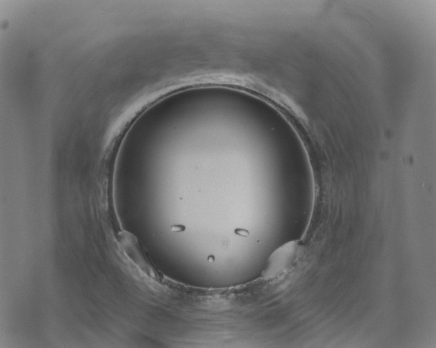 X0000074941504200609011102