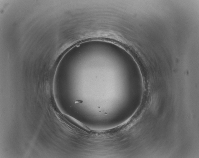 X0000074941505200609011102