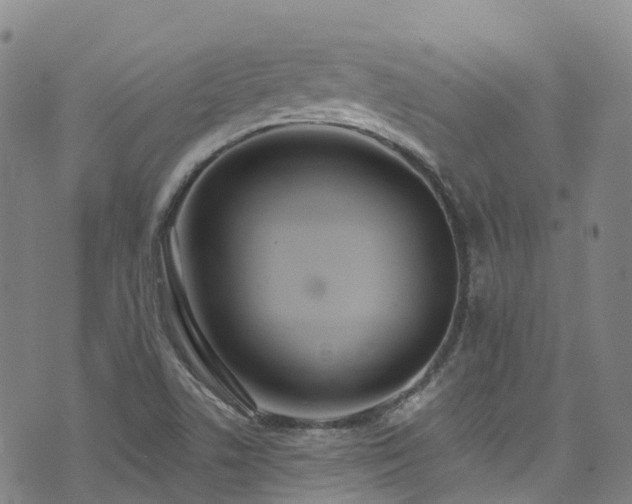 X0000074941506200609011102