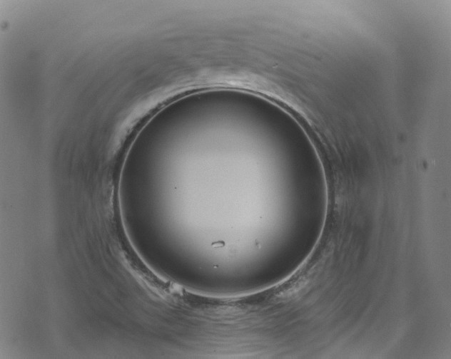 X0000074941507200609011102