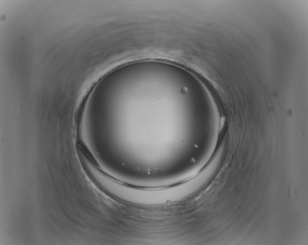 X0000074941508200609011102