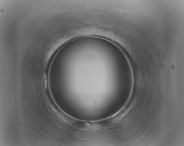 X0000074941509200609011102