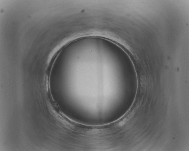 X0000074941510200609011102