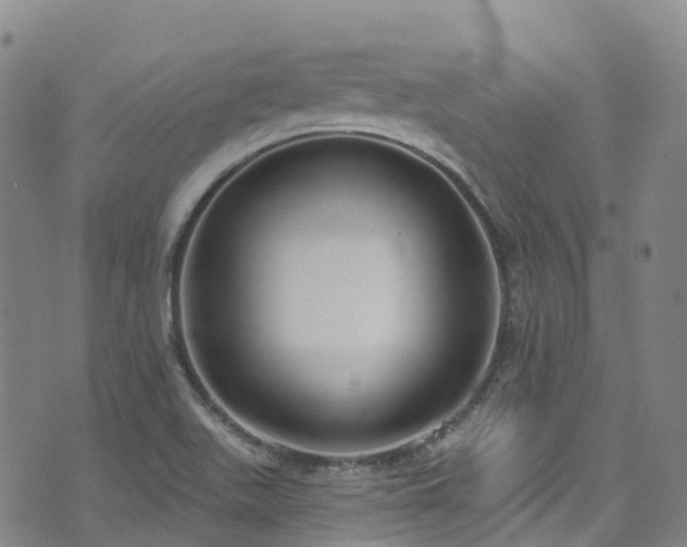 X0000074941511200609011102