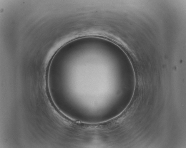 X0000074941512200609011102