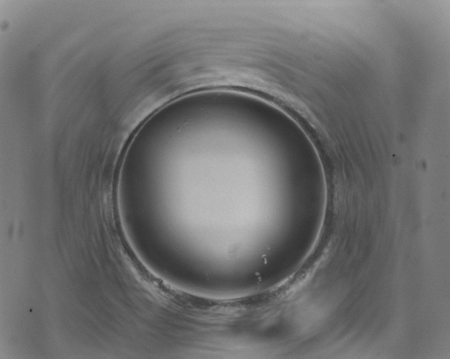 X0000074941513200609011103