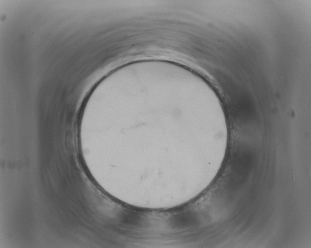 X0000074941514200609011103