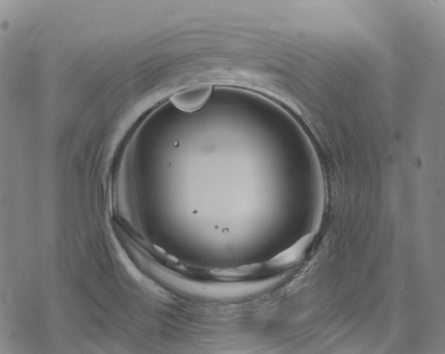 X0000074941515200609011103