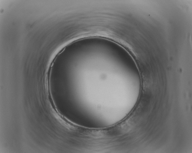 X0000074941516200609011103