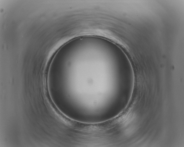 X0000074941517200609011103