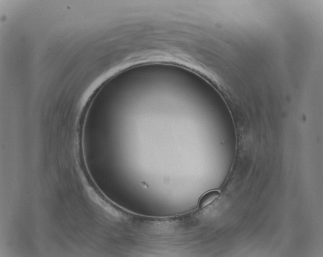 X0000074941518200609011103