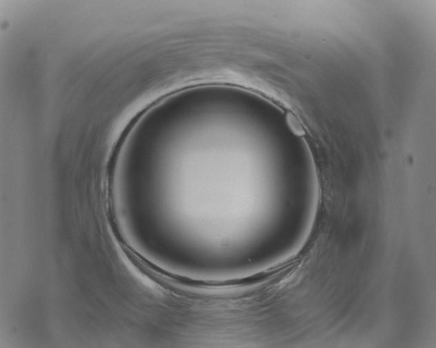 X0000074941519200609011103