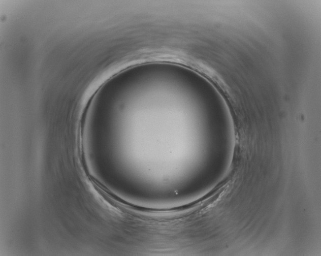 X0000074941520200609011103