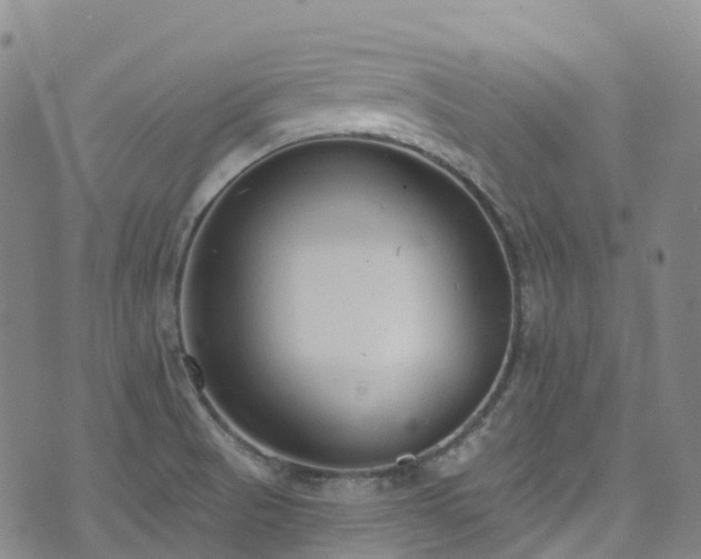 X0000074941521200609011103