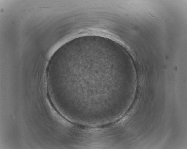 X0000074941522200609011103