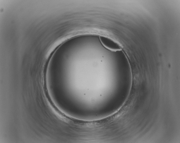 X0000074941523200609011103