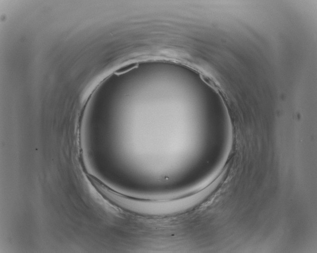 X0000074941524200609011103