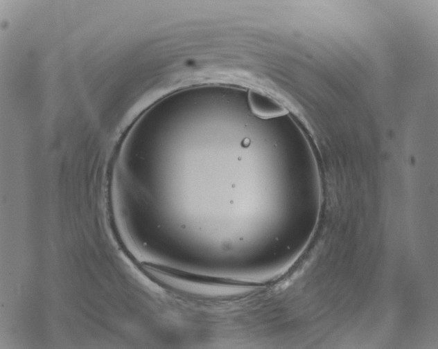 X0000074941525200609011103