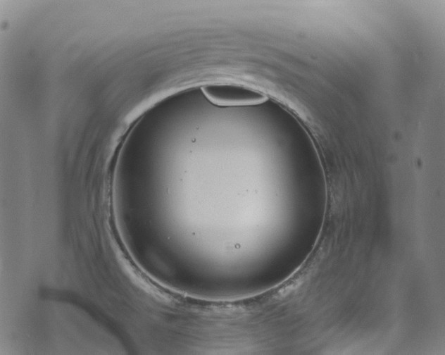 X0000074941526200609011103