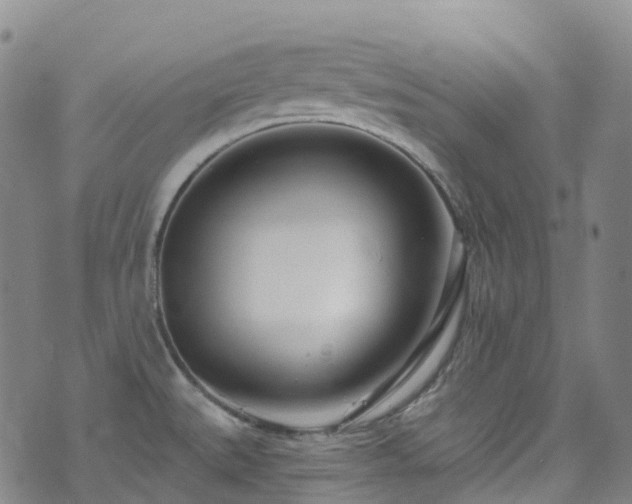 X0000074941527200609011103