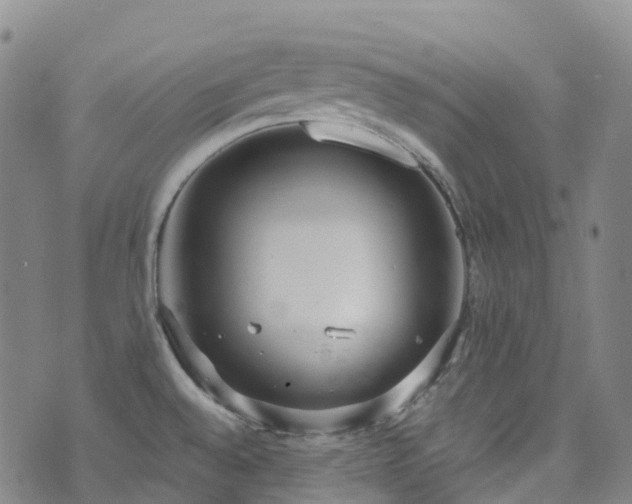 X0000074941528200609011103