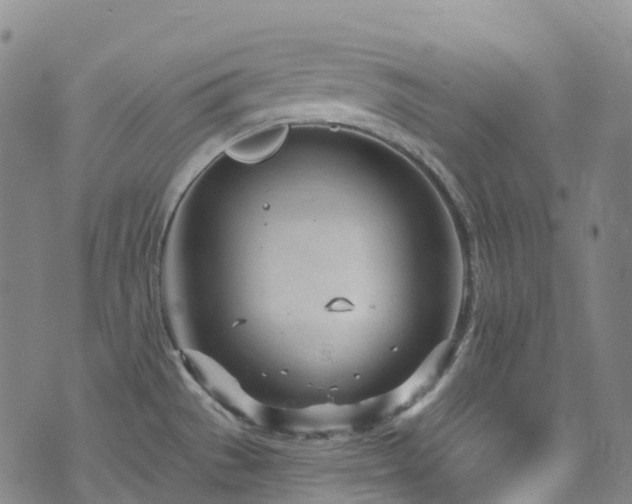 X0000074941529200609011103