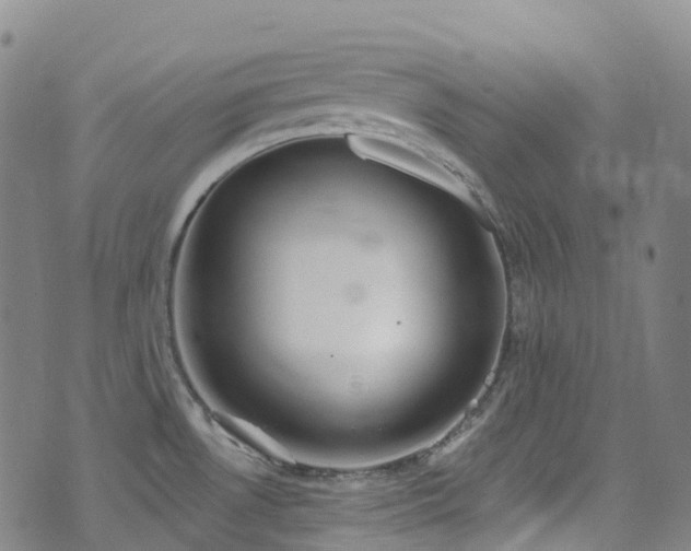 X0000074941530200609011103