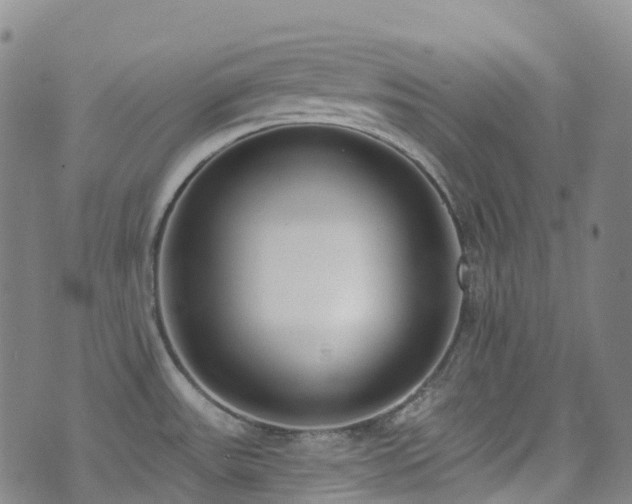 X0000074941531200609011103