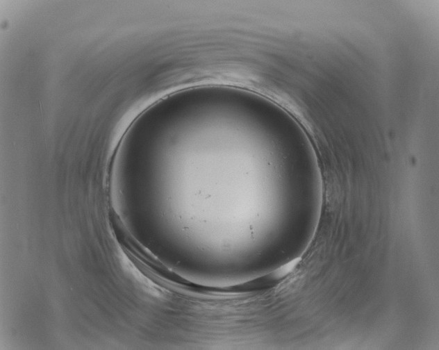 X0000074941532200609011103