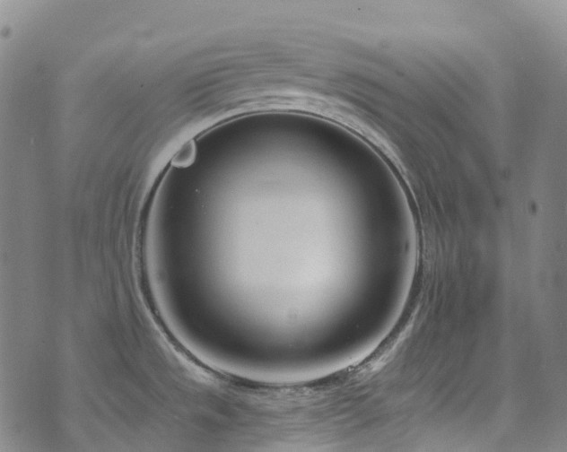 X0000074941533200609011103