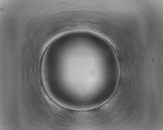 X0000074941534200609011103