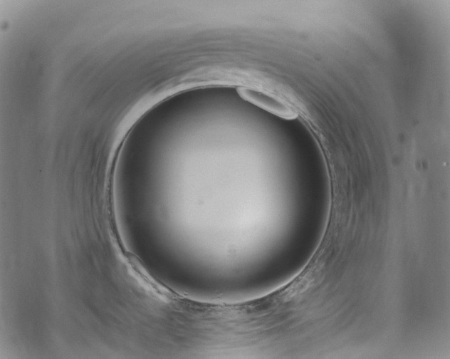 X0000074941536200609011103