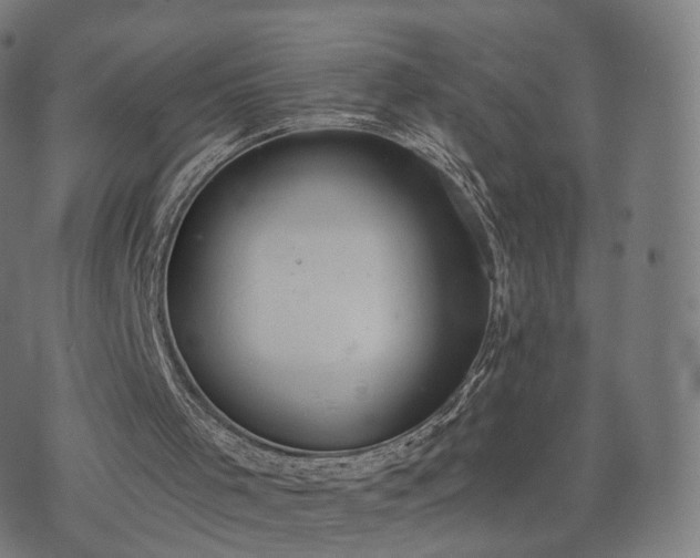 X0000074940001200609081402