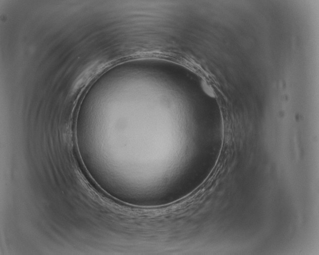 X0000074940002200609081402