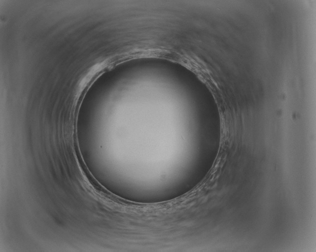 X0000074940003200609081402