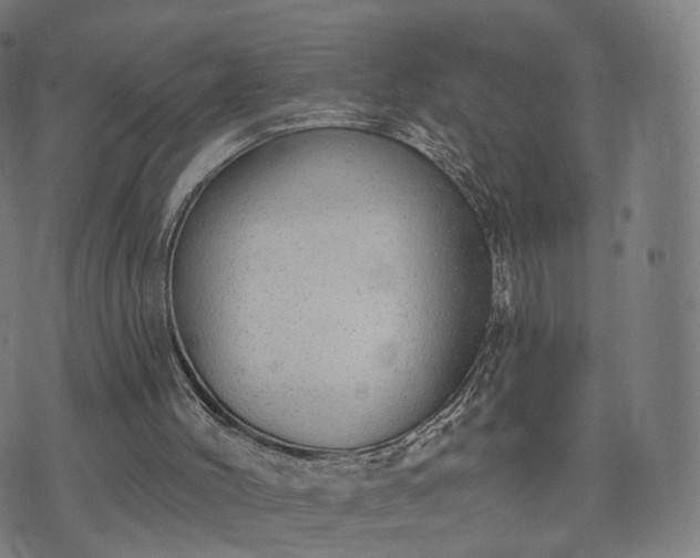 X0000074940004200609081402