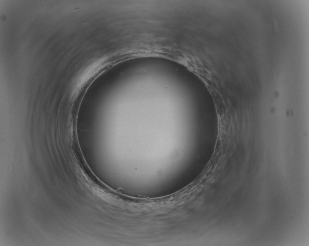 X0000074940005200609081402