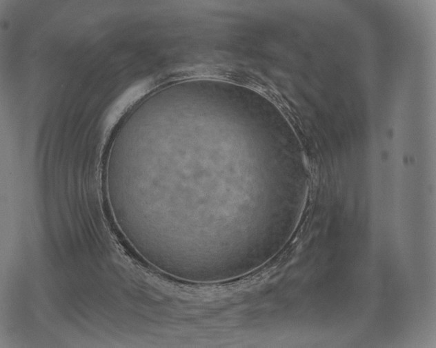 X0000074940006200609081402